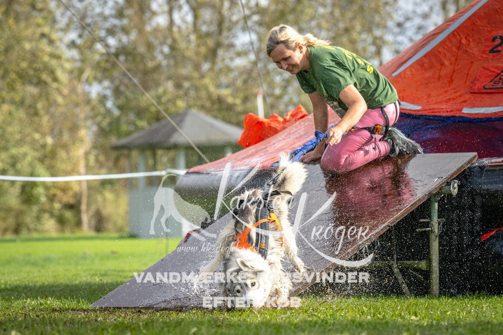 1214-92923 | kk-dogfotos