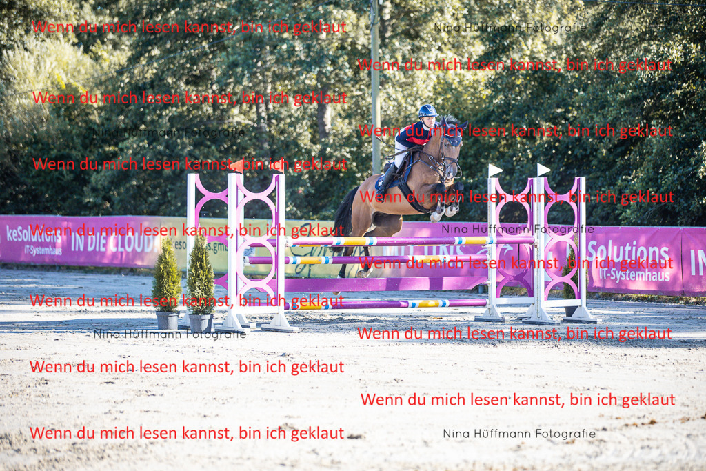 BK1A6037 | Turnierbilder Turnierfotos Nina Hüffmann Turnierfotografie Pferdefotografie Tierzeichnung Haustierzeichnung Pferdezeichnung Hundezeichnung Videograf  - Realisiert mit Pictrs.com