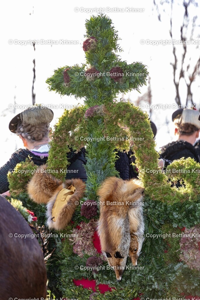 LBT24-984 | foto-bettina-krinner - Realisiert mit Pictrs.com