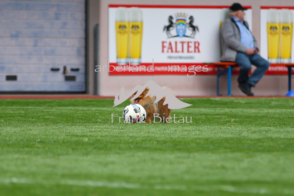 993T8133 | Medien- Sport- Entertainmentfotos