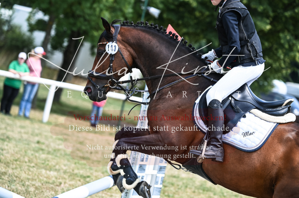 DSC_9656 | Pferde- und Turnierfotografie in Westsachsen. Pferdeportraits, Auftragszeichnungen und intuitive Kunst.