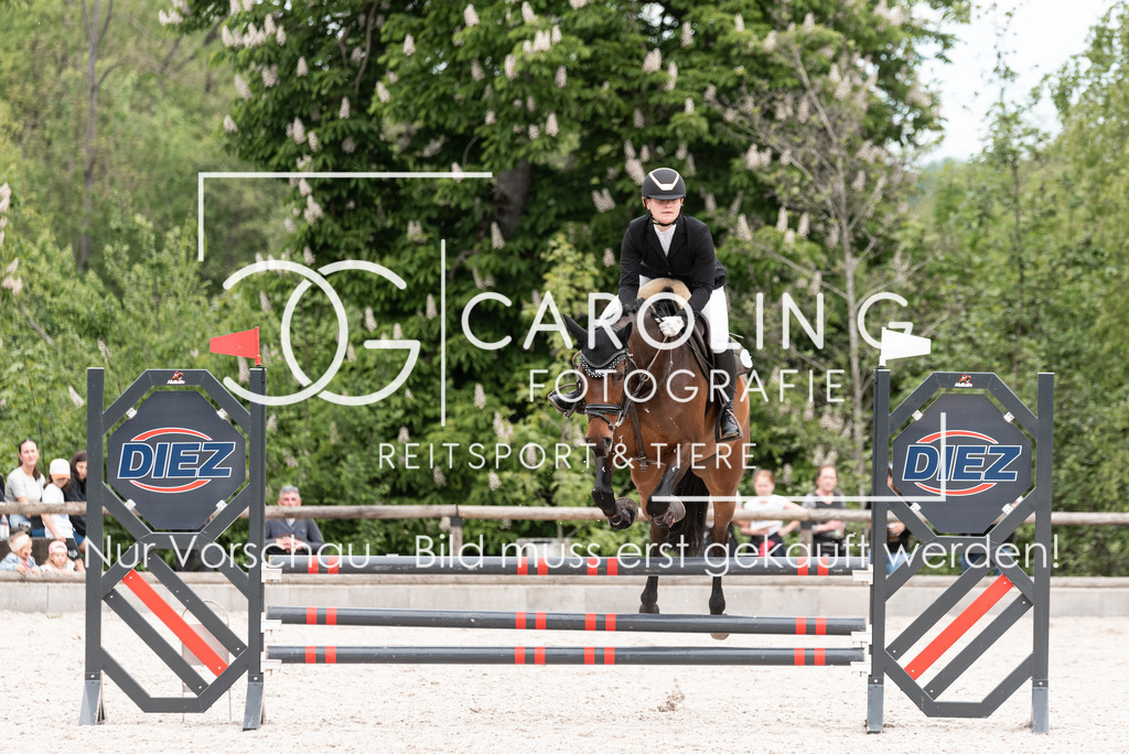 DSC_0718 | Turnierfotografin Carolin Gieschke, Turnierfotografie Carolin G Fotografie, Turnierfotos Kirchheim/Teck, Esslingen, Stuttgart, Bodenseekreis