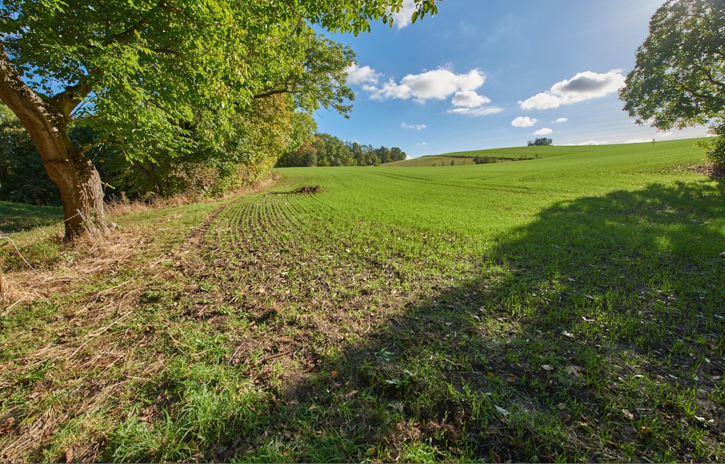 Blick in Richtung Blau- und Hinterer Steinhügel 02 | Bedeutsame Landschaften Deutschlands - Realisiert mit Pictrs.com