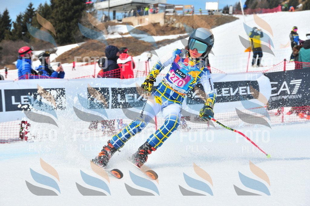 DSC_6275 | holidayphoto