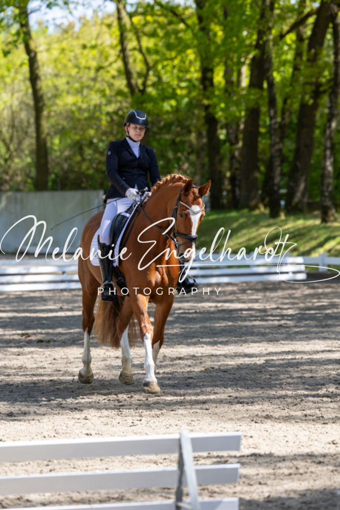 7I8A4885 | melanie-engelhardt-photography - Realisiert mit Pictrs.com