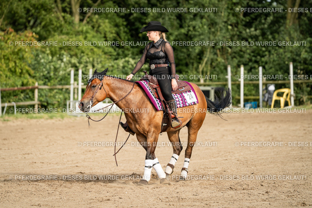 DSC05379 | Pferdegrafie