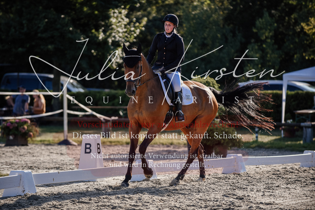 DSC_0689 | Pferde- und Turnierfotografie in Westsachsen. Pferdeportraits, Auftragszeichnungen und intuitive Kunst.