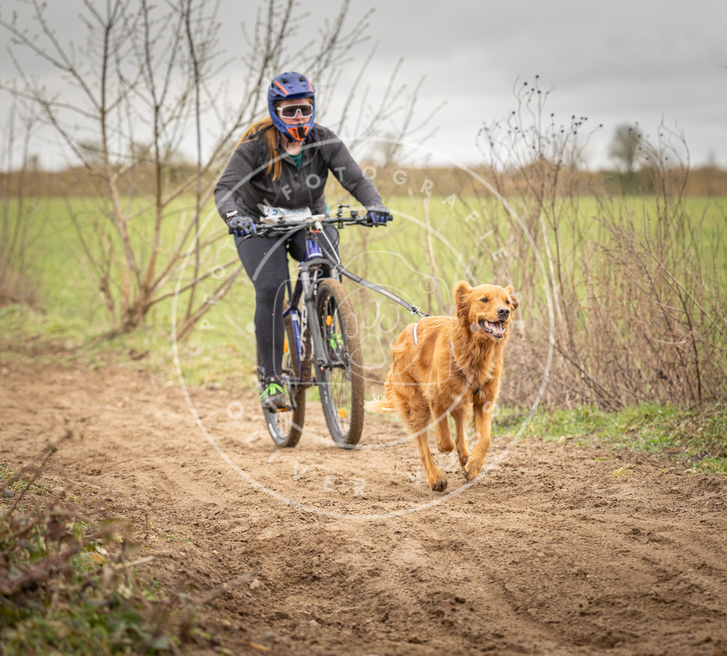 DV3A0990 | Hundefotografie, Tierfotograf, Pfotenfotografie, Fotoshooting Hund, Hunde Portrait, Hundesport, Hundeportraits, Heideshooting, Hunde, Sportfotograf, Hundefotograf, Turnierhundsport, THS,  - Realisiert mit Pictrs.com