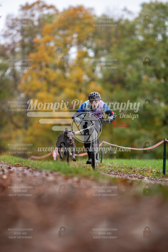 DBT_DAKM_SA_4_11_2023_DS1-4 | mompixphotography