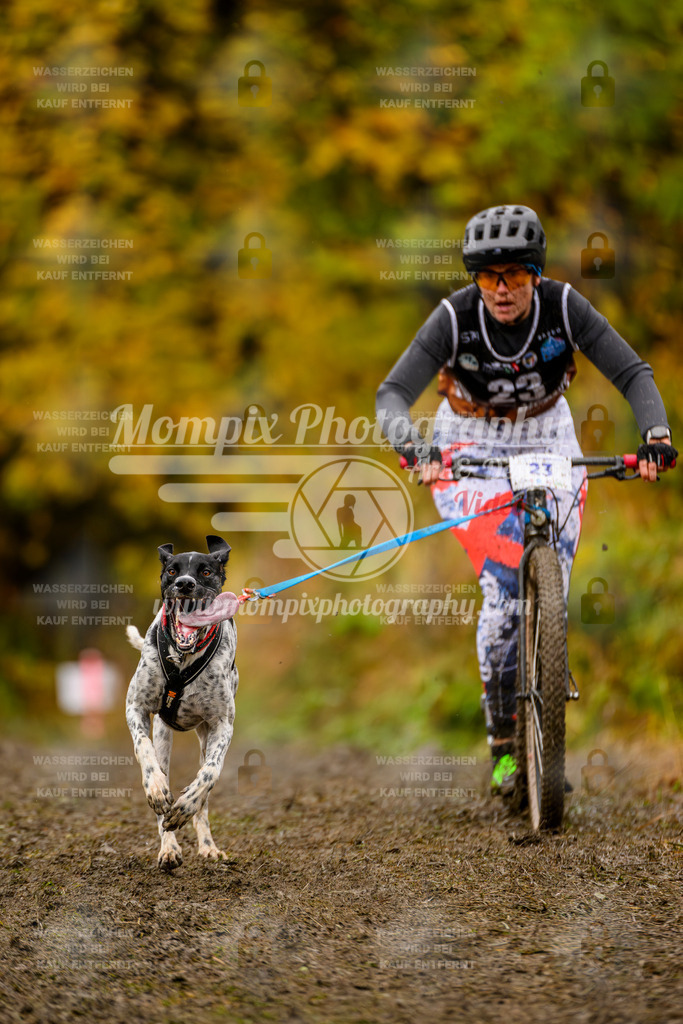 MompixPhotography_ICF_WC_2024_SA_DS_-39 | PayLife