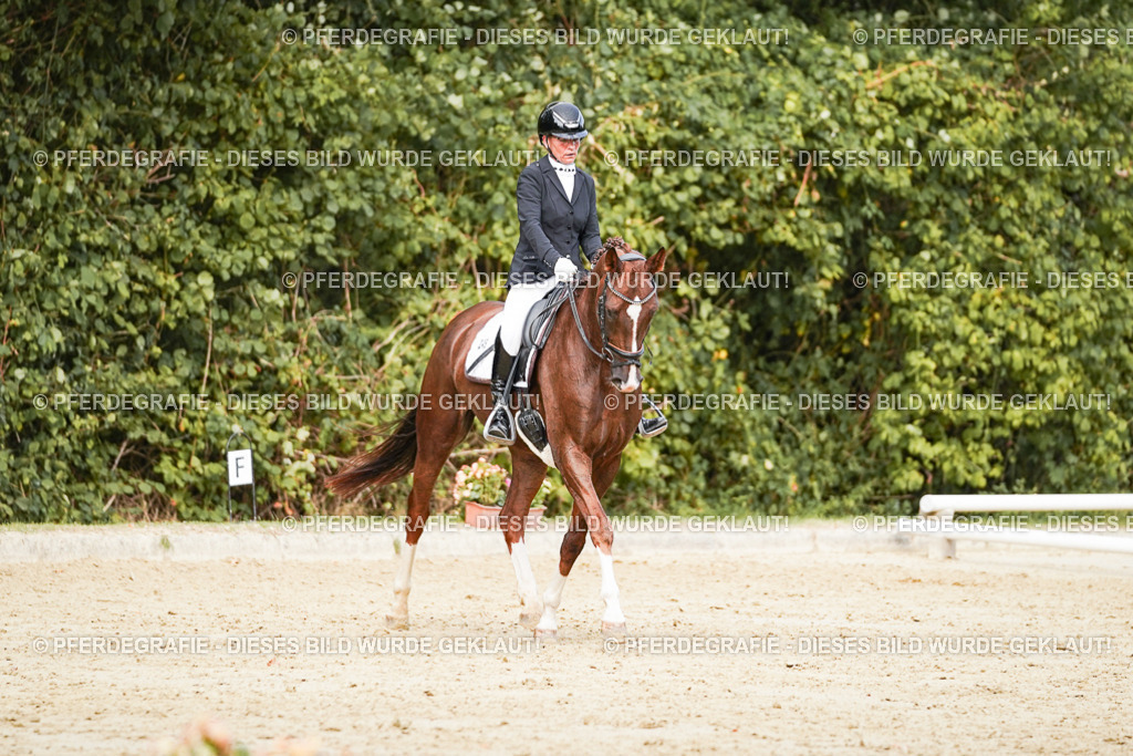 DSC02807 | Pferdegrafie