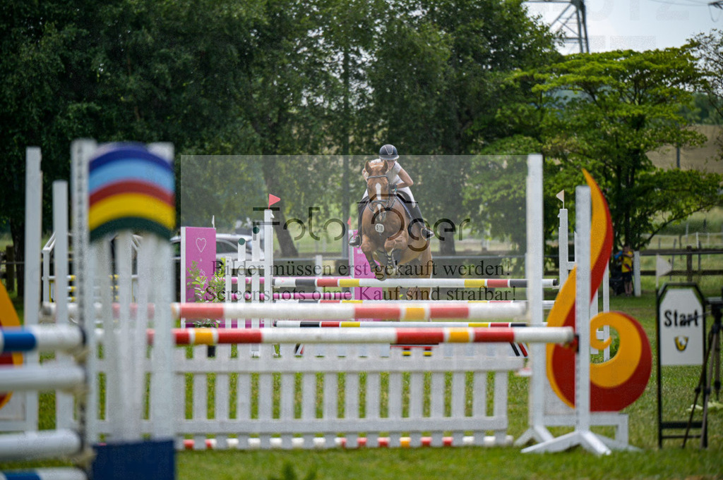 Reitturnier Voxtrup | Entdecke hochwertige Reitturnierfotos von Foto Oger. Professionell, emotional und authentisch – jetzt Lieblingsmomente im Shop bestellen.Deutschlandweite Turnierfotografie. - Realisiert mit Pictrs.com