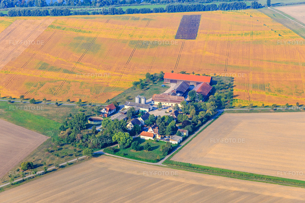Luftbild: Insultheimer Hof in Hockenheim im Bundesland Baden-Württemberg in Deutschland. Foto: IMG_117240.jpg vom 25.08.2019 durch Werner Riehm/FLY-FOTO.de