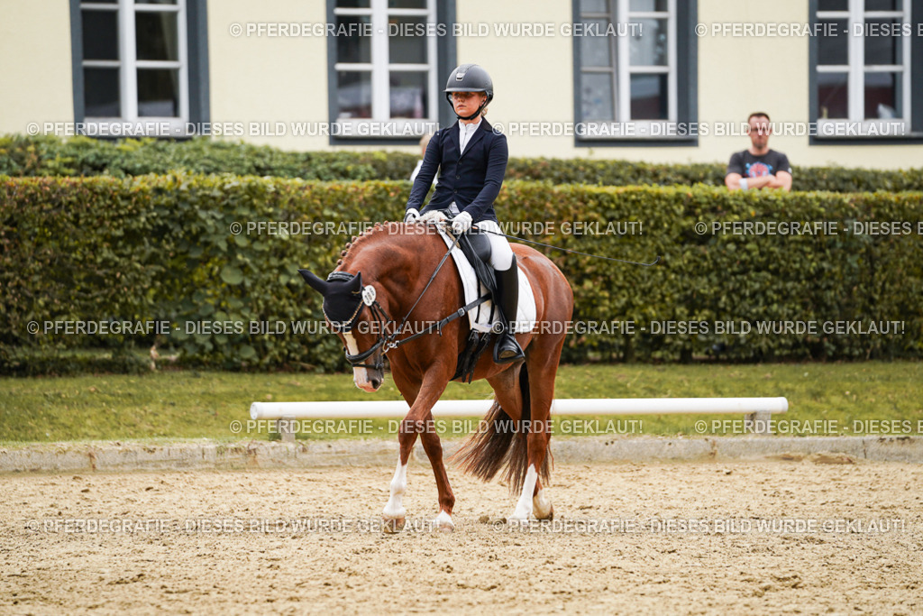 DSC09680 | Pferdegrafie