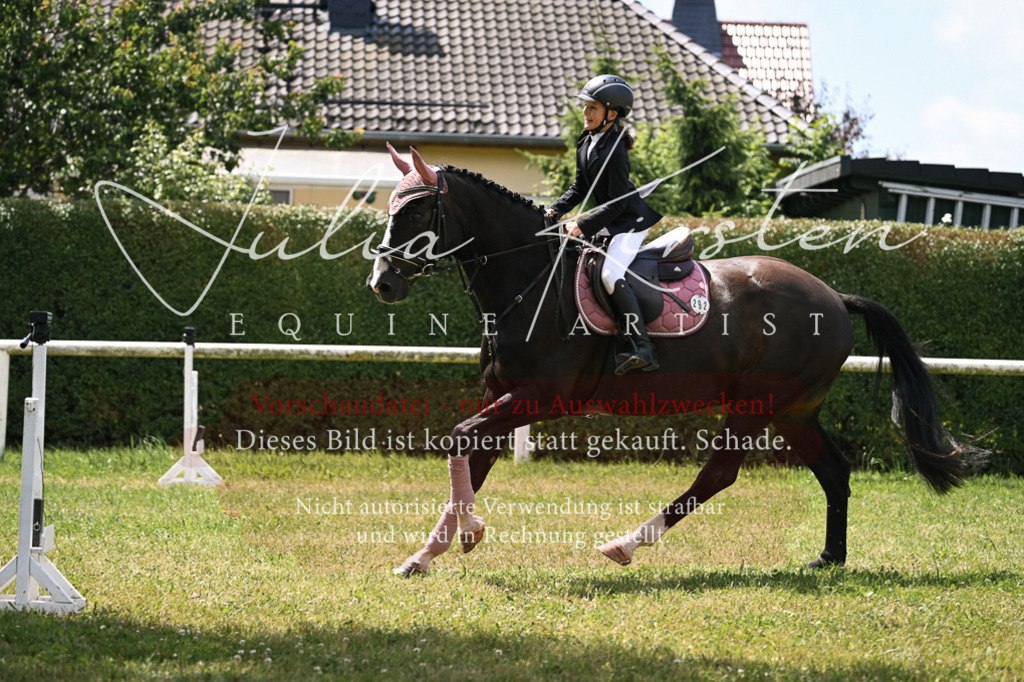 DSC_9359 | Pferde- und Turnierfotografie in Westsachsen. Pferdeportraits, Auftragszeichnungen und intuitive Kunst.