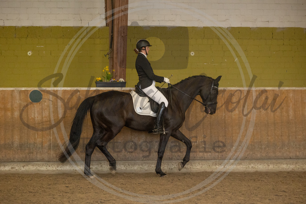 994A9296 | sabrinanicolaifotografie - Realisiert mit Pictrs.com