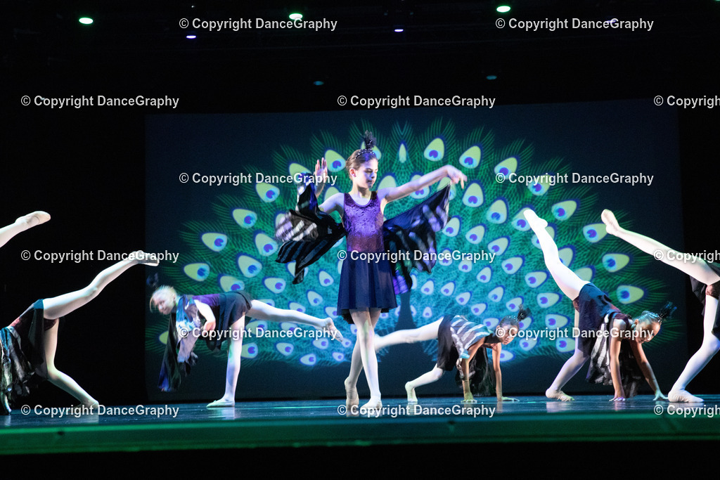 GPHY6157 | DanceGraphy - Realisiert mit Pictrs.com