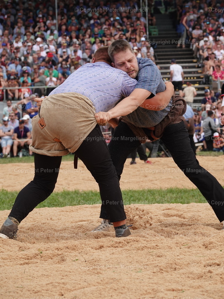 DSC04986 | Schwingen - Realisiert mit Pictrs.com