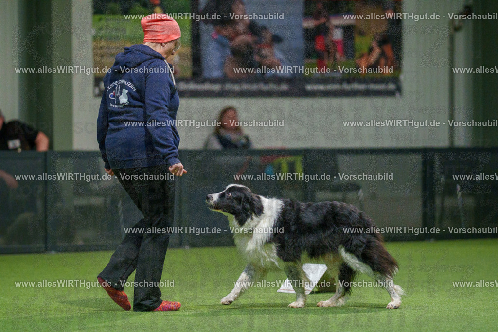 7R504576 | Professionelle Tierfotografie in Mönchengladbach von Daniel Wirth (allesWIRTHgut). Liebevolle & natürliche Bilder von Hunden & Katzen für unvergessliche Erinnerungen.