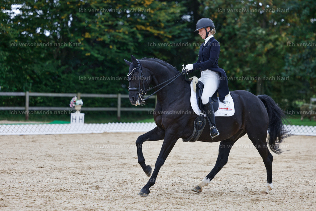 8_1-077-Klasse S_  -StoibPH-3812 | working equitationturnier fotograf videograf stoibphotography marixx film working equitation deutschland reitsport turnierfotografie eventfotografie equestrian events