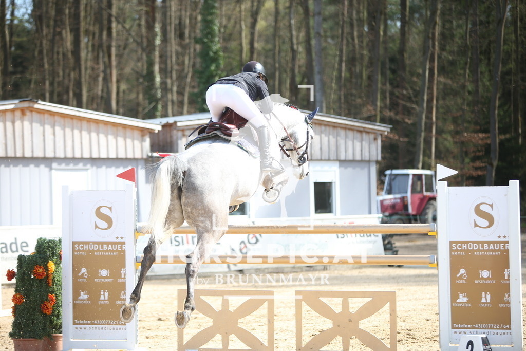 PP015325 | Willkommen bei Brunnmayr - Design & Fotografie – Ihrem Spezialisten für Reitturniere und Pferdeveranstaltungen in Oberösterreich, Salzburg und Bayern! Seit über 17 Jahren sind wir leidenschaftlich dabei.