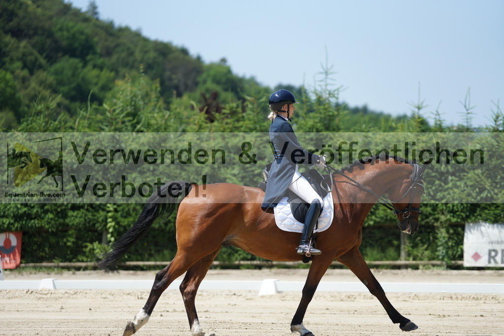 DSC03459 | equestrian-live-com