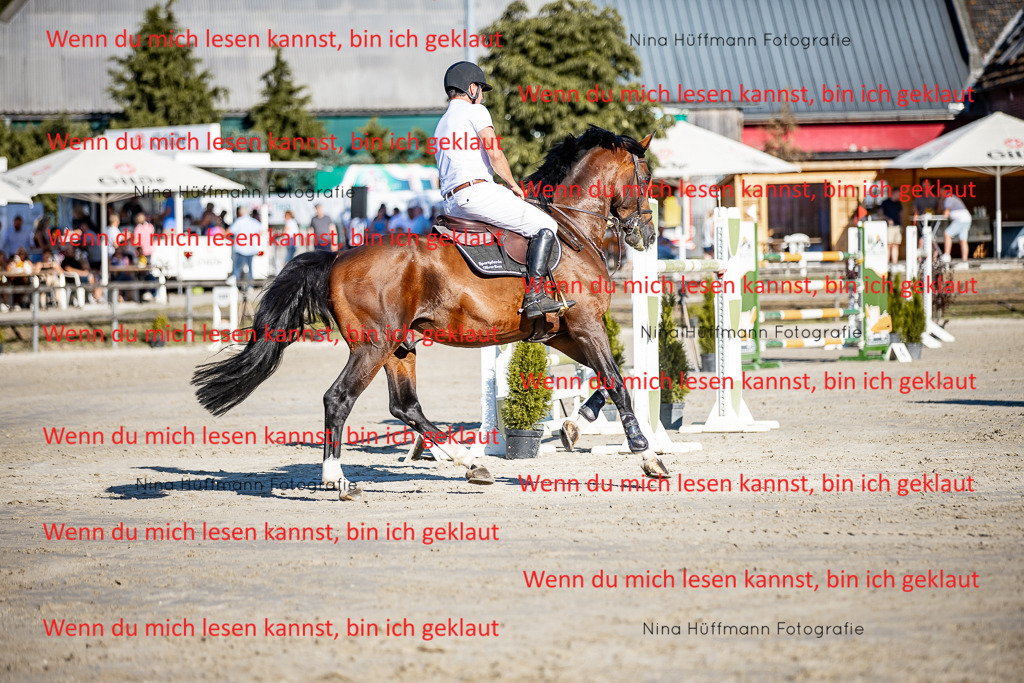 BK1A8232 | Turnierbilder Turnierfotos Nina Hüffmann Turnierfotografie Pferdefotografie Tierzeichnung Haustierzeichnung Pferdezeichnung Hundezeichnung Videograf  - Realisiert mit Pictrs.com