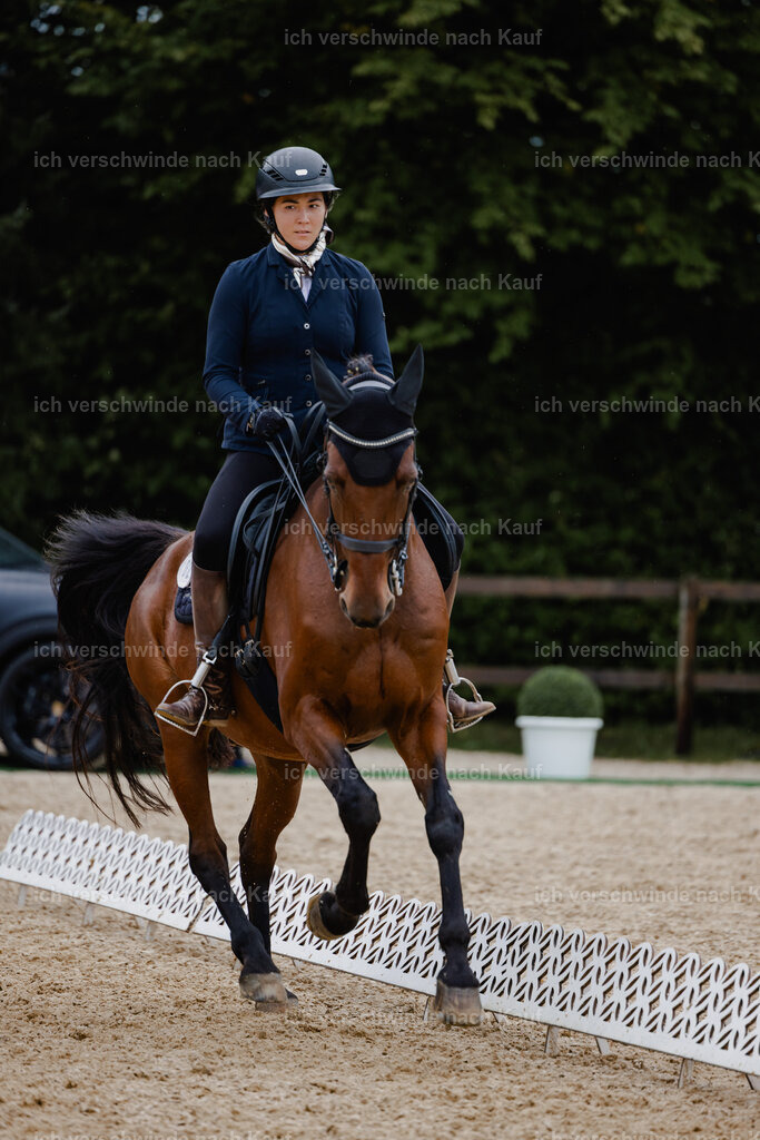 Nadine22_FHC2025-11 | working equitationturnier fotograf videograf stoibphotography marixx film working equitation deutschland reitsport turnierfotografie eventfotografie equestrian events