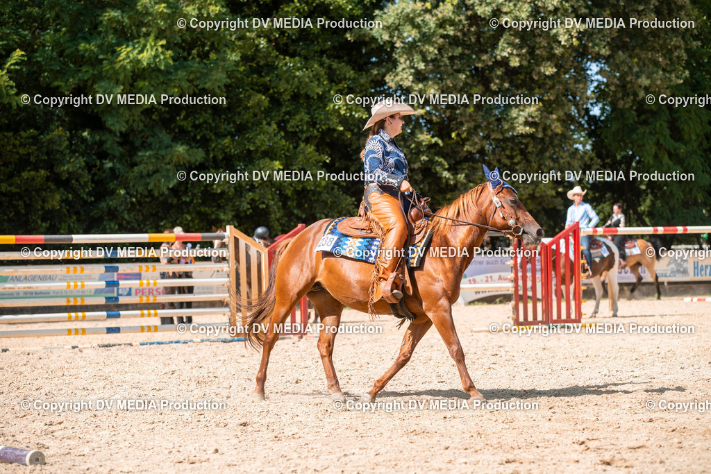 EWP_6842 | dv-media-shop - Realisiert mit Pictrs.com