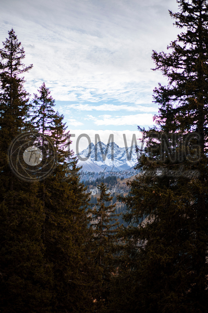 IMG_4933 | Fotos:
Tom Wenig
https://www.tomwenig.de - Realisiert mit Pictrs.com