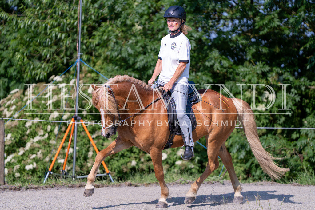 KAI07109 | Ihr sucht einen Fotografen für eure nächste OSI? Ich begleite auch euer Turnier für Islandpferde fotografisch.  - Realisiert mit Pictrs.com