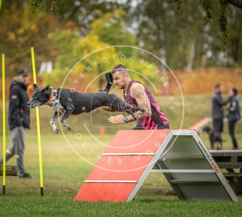 Pfotenfotografie_DV3A0270 | Hundefotografie, Tierfotograf, Pfotenfotografie, Fotoshooting Hund, Hunde Portrait, Hundesport, Hundeportraits, Heideshooting, Hunde, Sportfotograf, Hundefotograf, Turnierhundsport, THS,  - Realisiert mit Pictrs.com