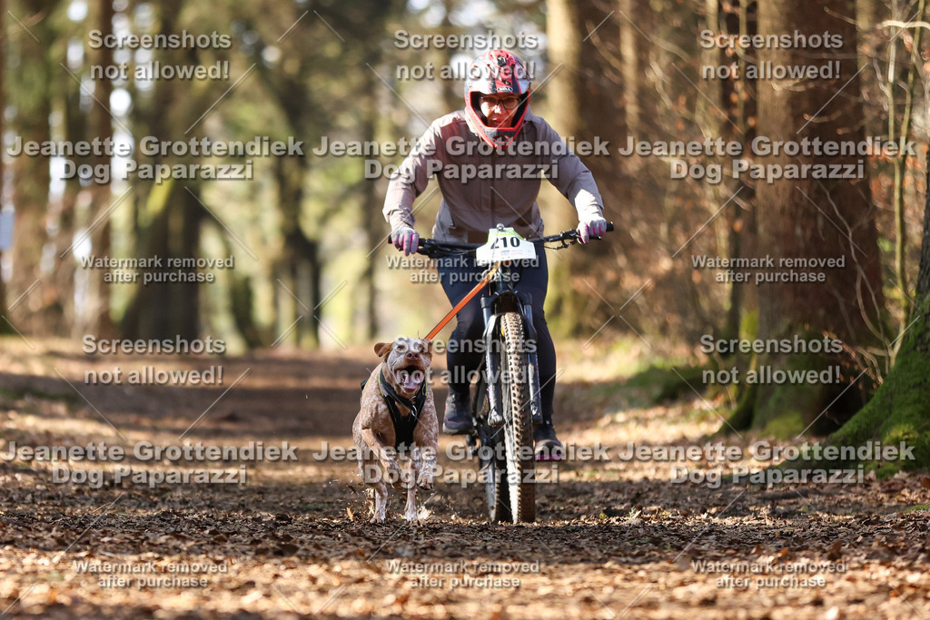 Dog Paparazzi - VCC26-1066 | Dog Paparazzi Jeanette Grottendiek Fotografie & Videografie - Realisiert mit Pictrs.com