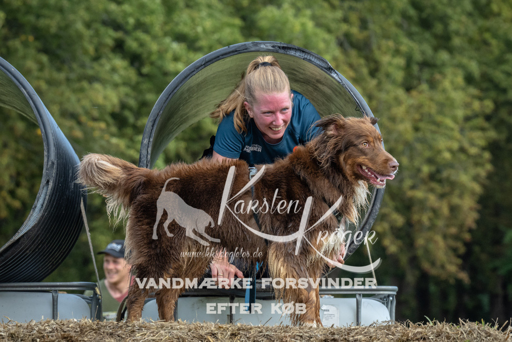 1338_ZZ94118 | kk-dogfotos