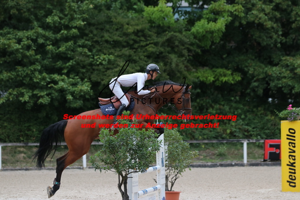 IMG_3001 | lmwpictures - Realisiert mit Pictrs.com