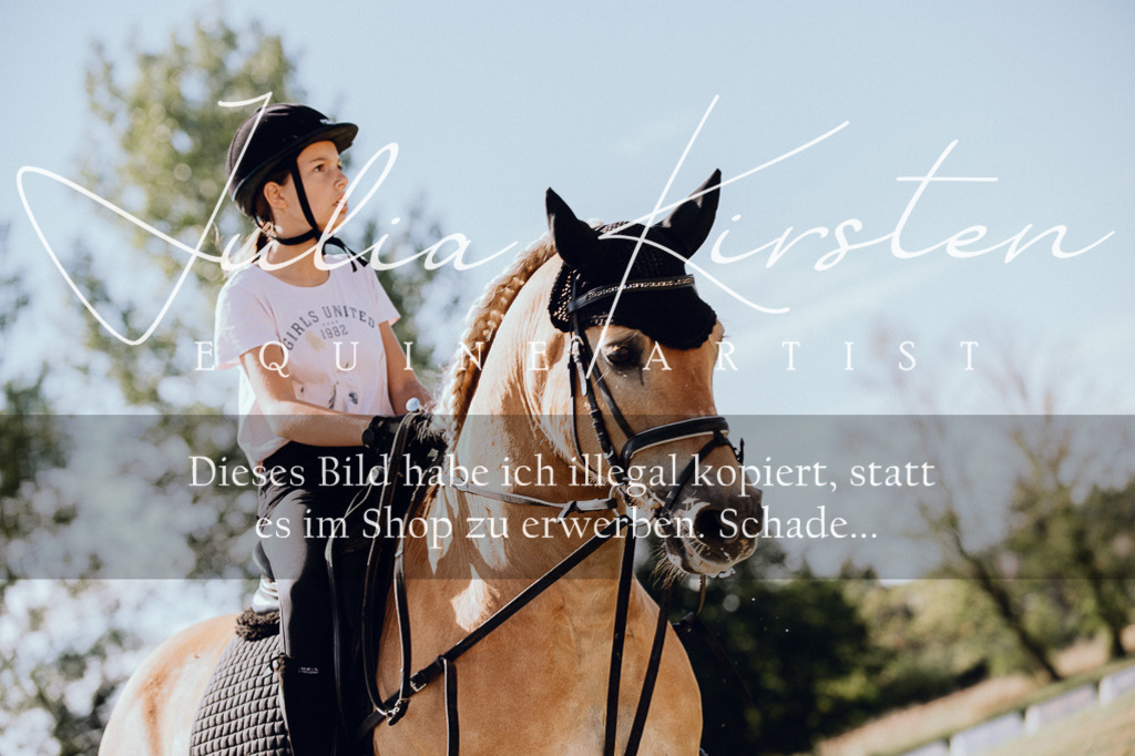 DSC_7184 | Pferde- und Turnierfotografie in Westsachsen. Pferdeportraits, Auftragszeichnungen und intuitive Kunst.