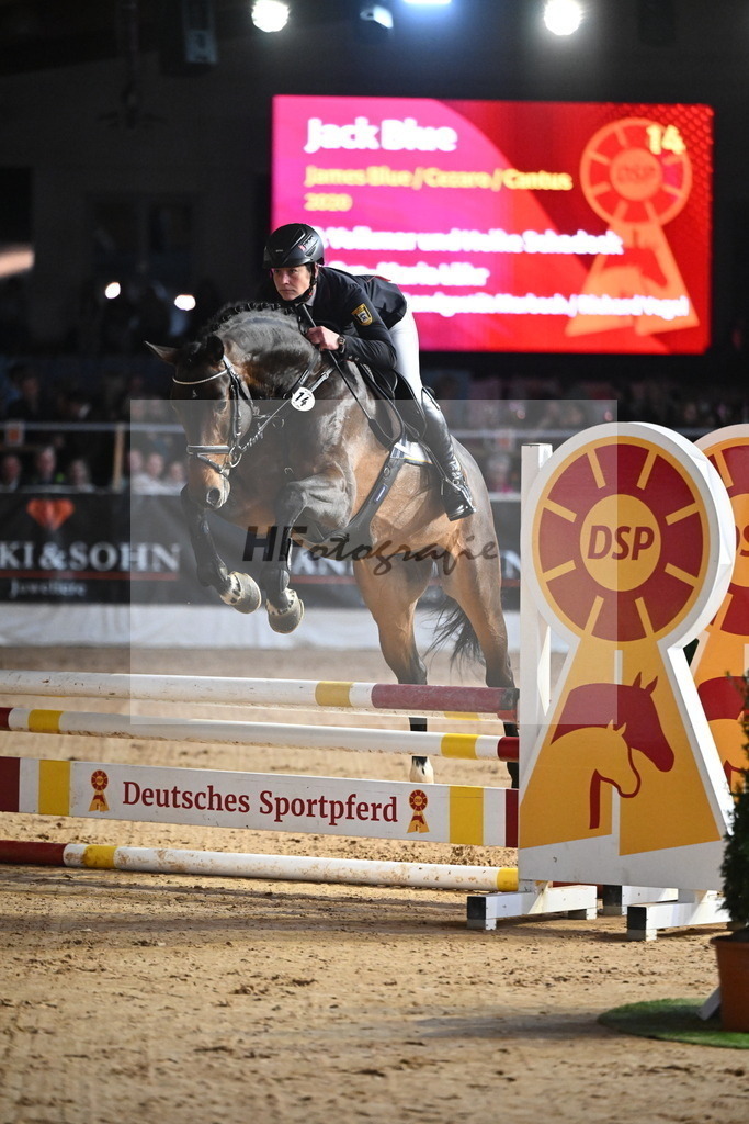 Jack Blue_2241604 | hf-fotografie - Realisiert mit Pictrs.com