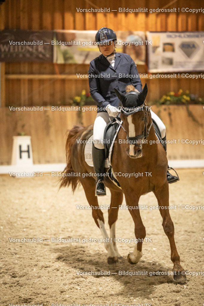 _D5A0417 | Emotionale Pferde- & People-Fotografie rund um Heidelberg, Leimen & Umgebung. Natürliche Fotos von Pferd, Mensch & Familie. Jetzt Termin sichern!