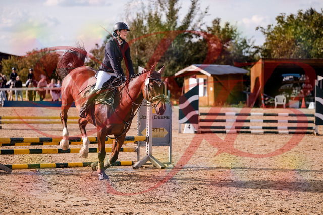 2026_10_03_Siefer-Hof_155538_Z81_74931559 | Professionelle Reitsport-, Turnier- und Eventfotografie von Robert Broda. Galerien mit ausgewählten und bearbeiteten Bildern direkt online ansehen und bestellen.