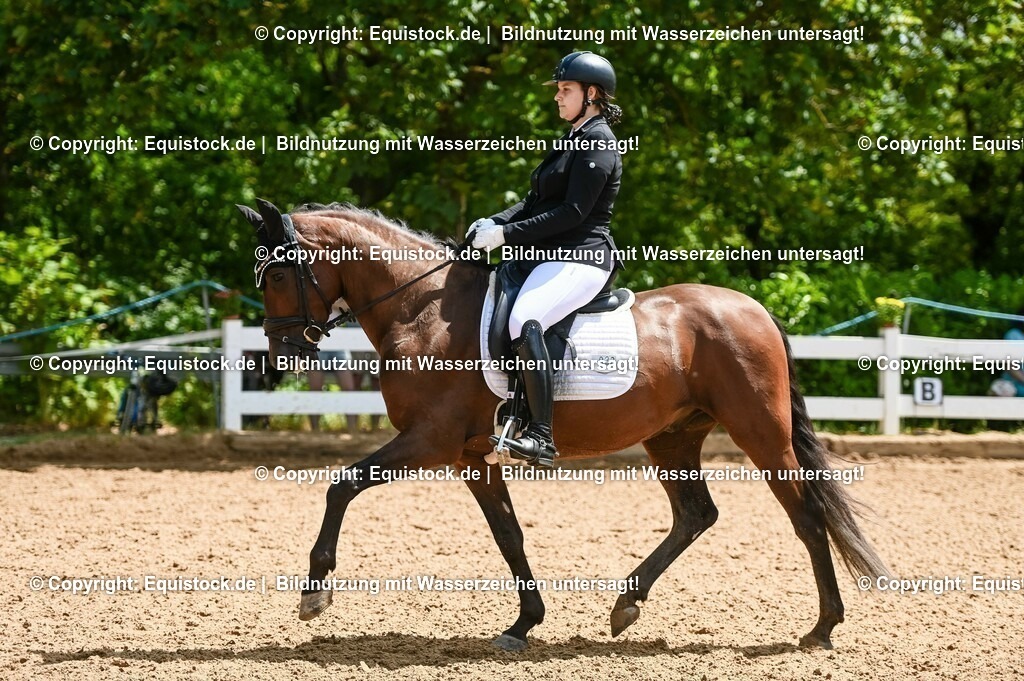 20230716_03_Dressurprfg. Kl.L - Tr._0131 | equistock