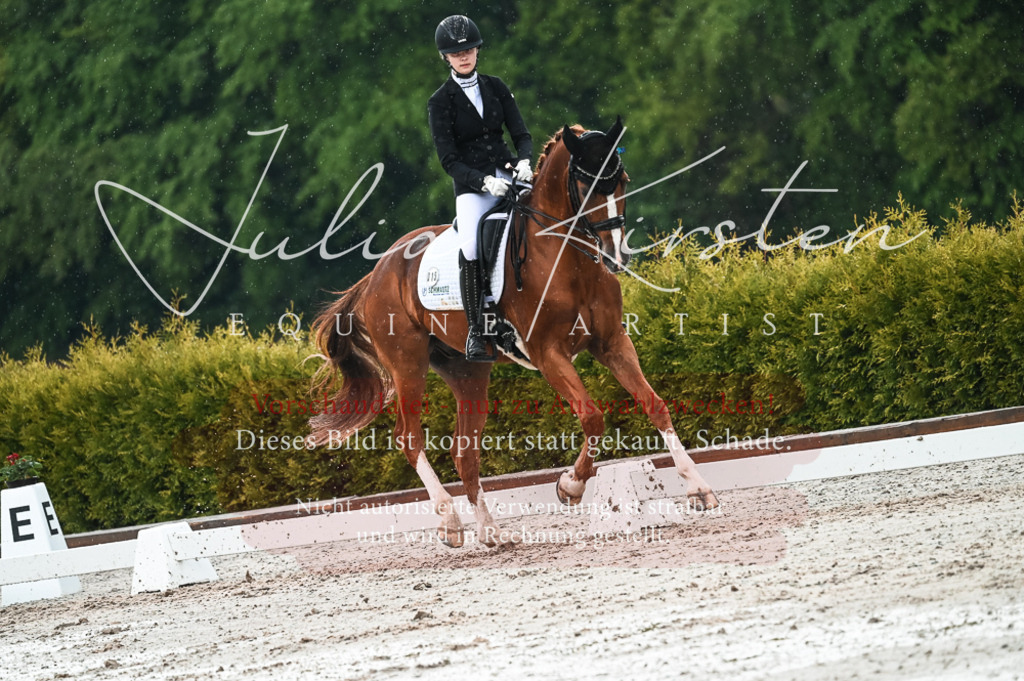 DSC_4306 | Pferde- und Turnierfotografie in Westsachsen. Pferdeportraits, Auftragszeichnungen und intuitive Kunst.