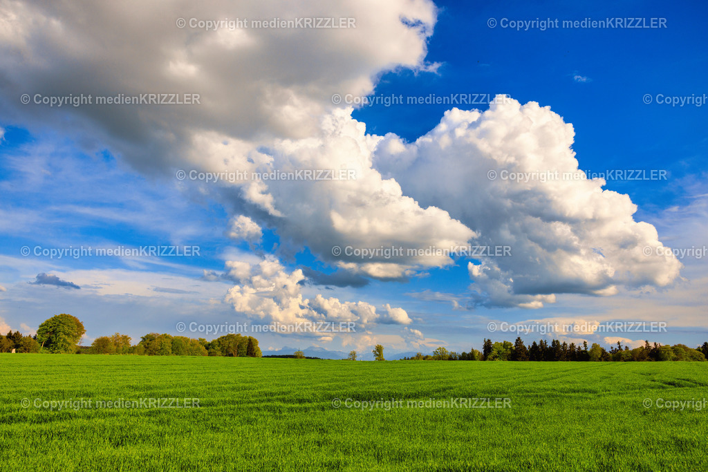 _J3A7643 | medienkrizzler - Realisiert mit Pictrs.com