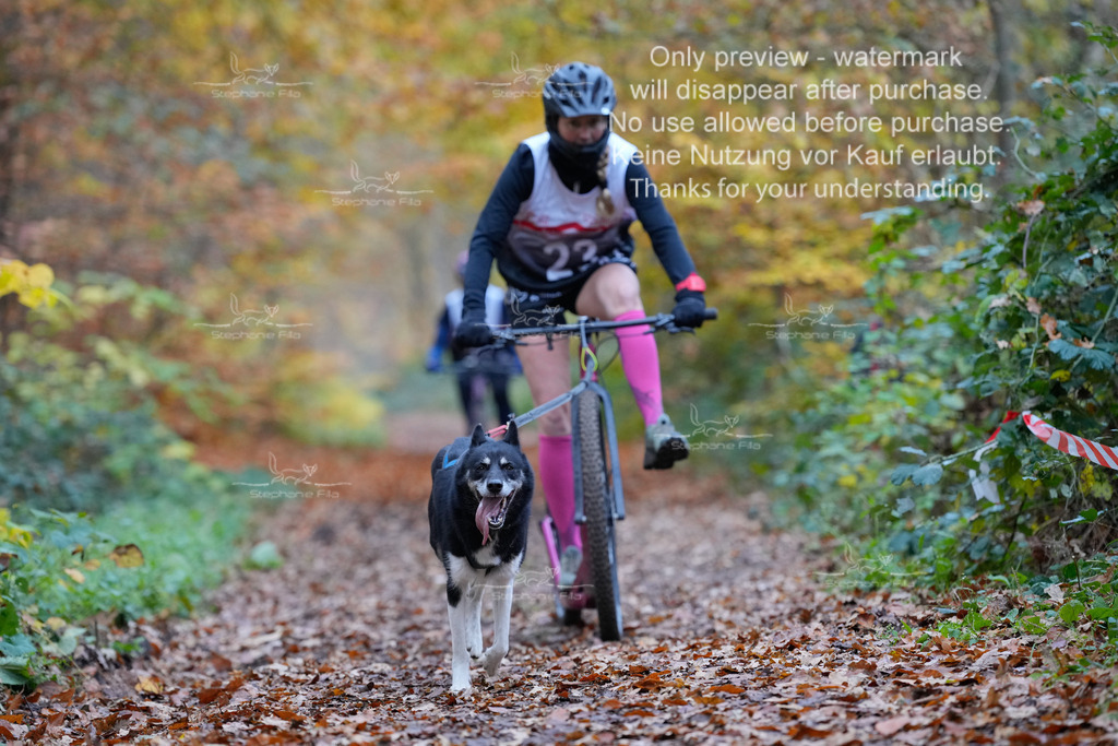 Scooter_So-75 | stephaniefillaphotographie - Realisiert mit Pictrs.com