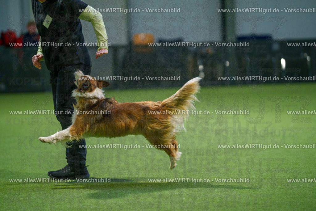 7R509729 | Professionelle Tierfotografie in Mönchengladbach von Daniel Wirth (allesWIRTHgut). Liebevolle & natürliche Bilder von Hunden & Katzen für unvergessliche Erinnerungen.