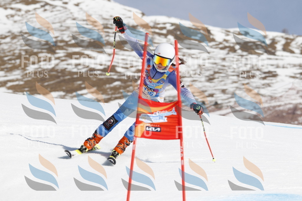 _U3G0976 | holidayphoto