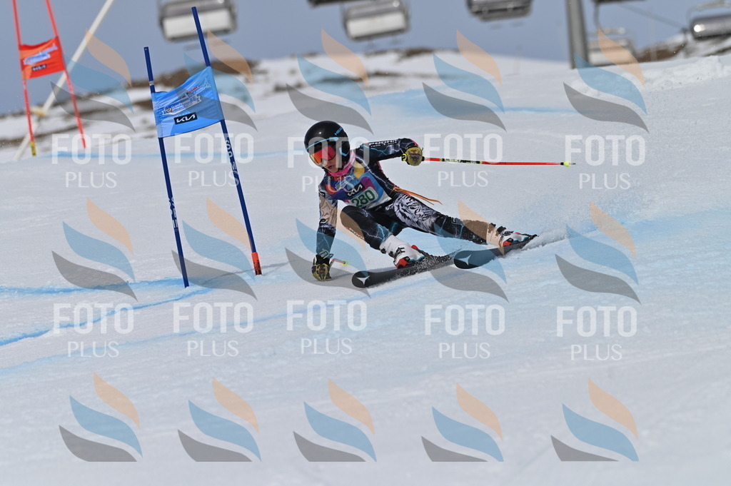 BGV_5572 | holidayphoto