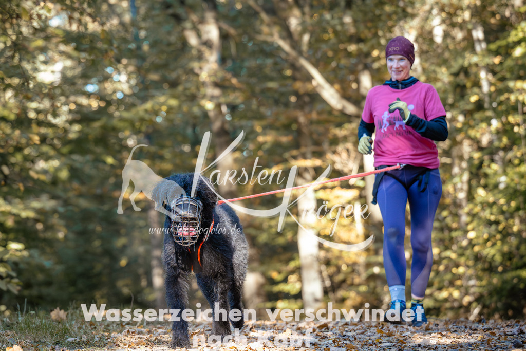 1042_ZZ90760 | kk-dogfotos