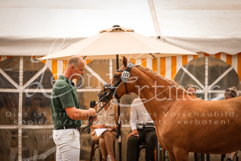 10.So00054 | Leoni Ertmer Photography - Realisiert mit Pictrs.com