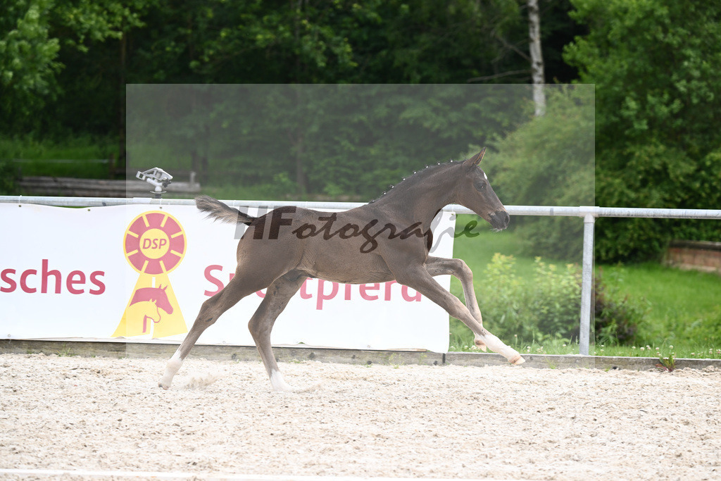 Segantini x Desperados_HF_Kloessinger_20240928 | hf-fotografie - Realizzato con Pictrs.com