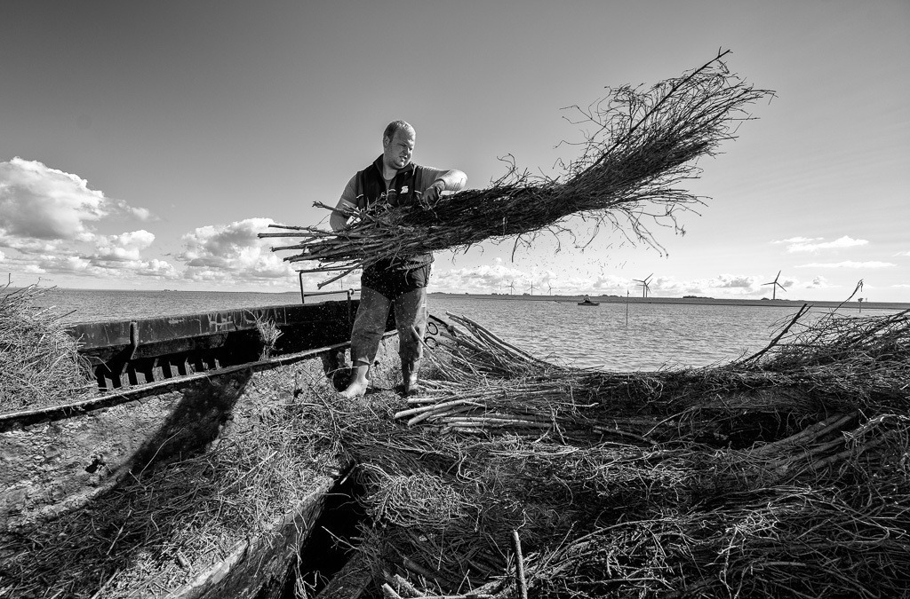 Lahnungsarbeiten des LKN.SH im Watt vor Pellworm © Holger Rüdel | Der Online-Shop von Holger Rüdel. Ausgewählte Fotografien als FineArt-Prints bestellen: Bildreportagen, Landschaften, Wildlife, Infrarot-Motive in Schwarzweiß und Zeitgeschichte im Bild. - Realisiert mit Pictrs.com